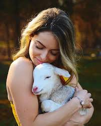 Baby lamb at A Traveling Farm mobile petting zoo Port Orange FL
