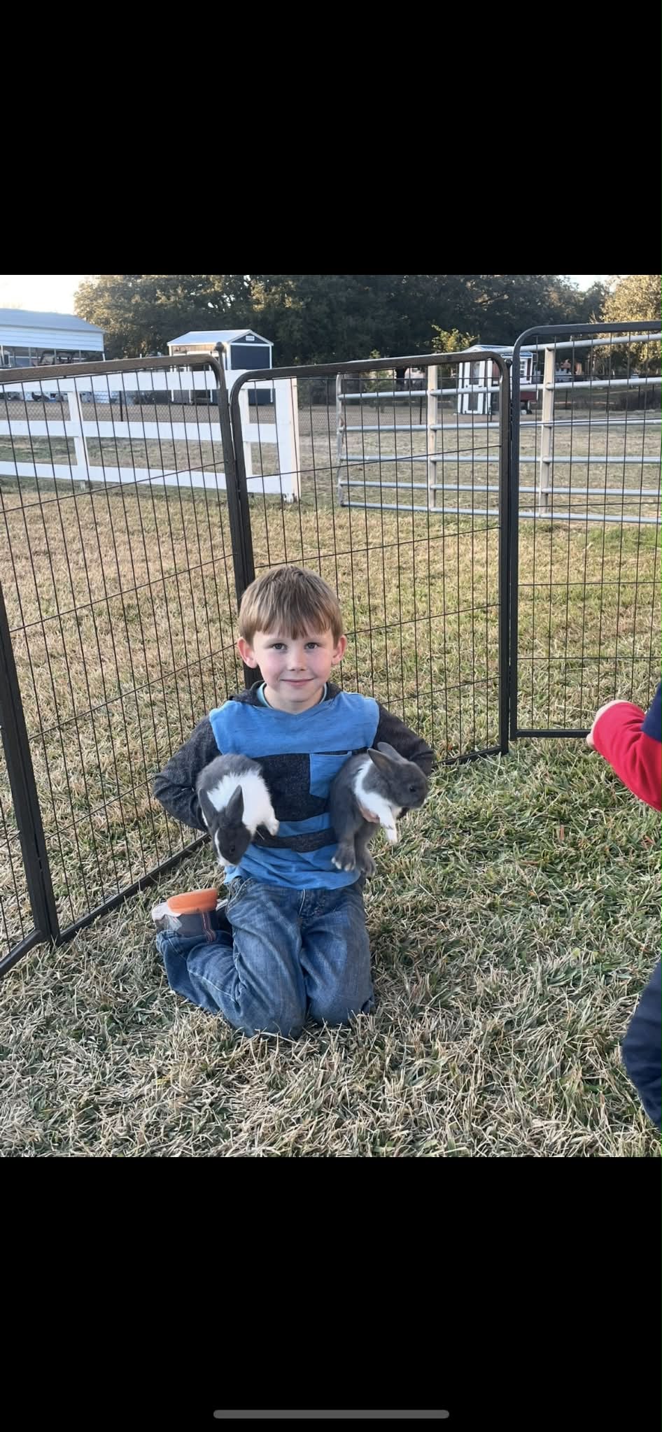 Bunnies at A Traveling Farm mobile petting zoo birthday party Port Orange FL
