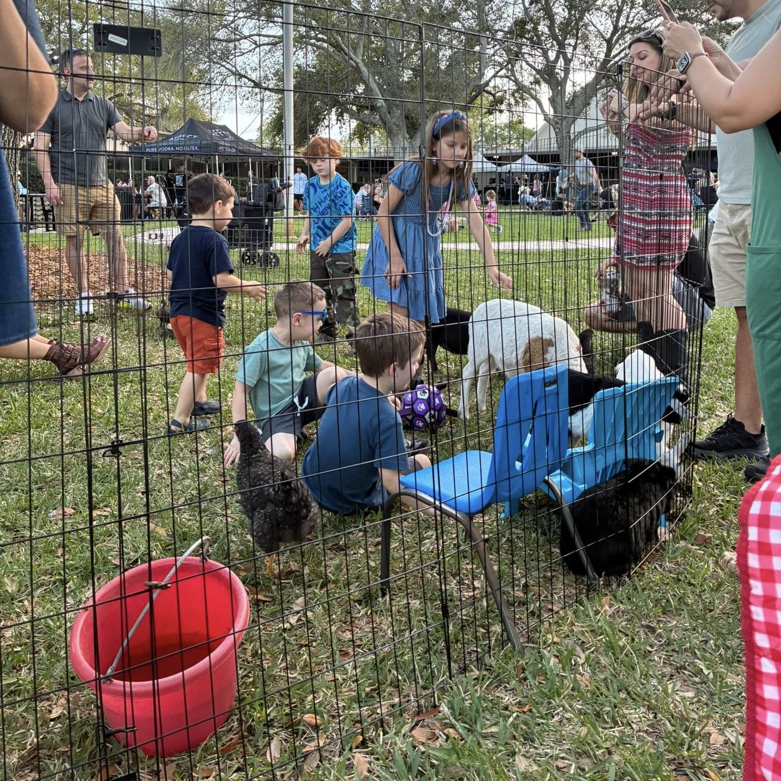 Guests enjoying A Traveling Farm mobile petting zoo experience Volusia County FL