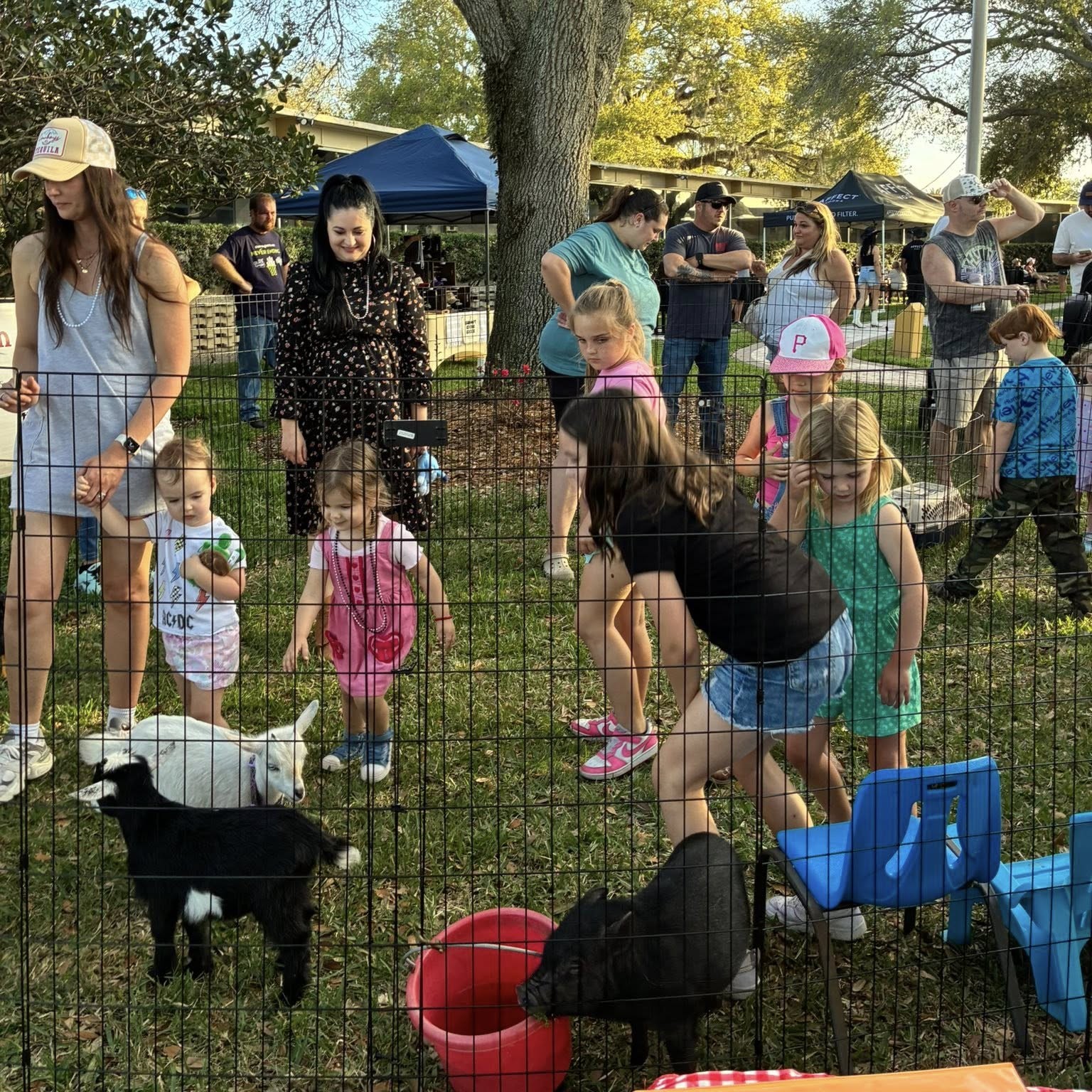 Families enjoying A Traveling Farm mobile petting zoo community event Port Orange Florida