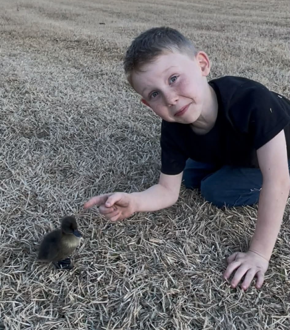 White duck at A Traveling Farm mobile petting zoo Port Orange FL