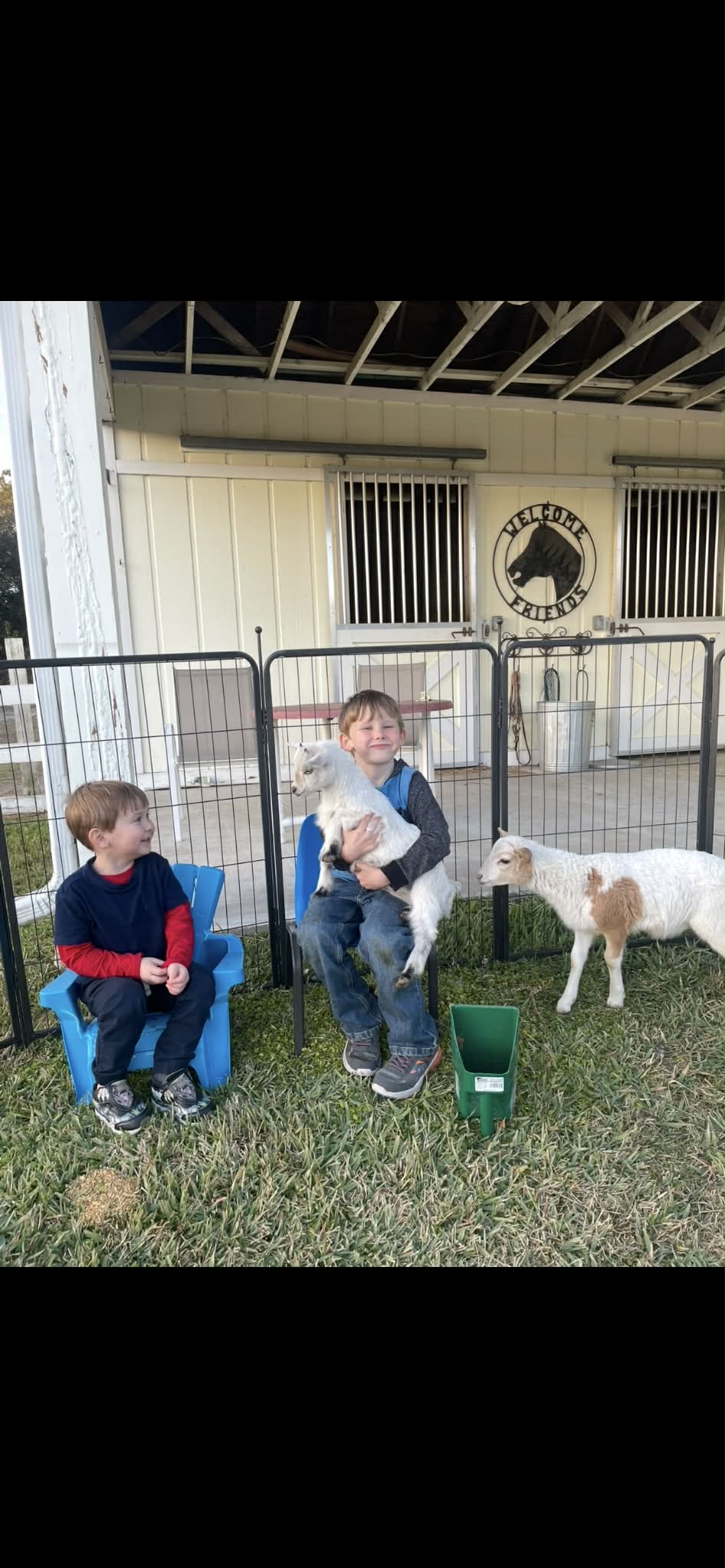 Children petting a baby lamb at A Traveling Farm mobile petting zoo birthday party Port Orange FL
